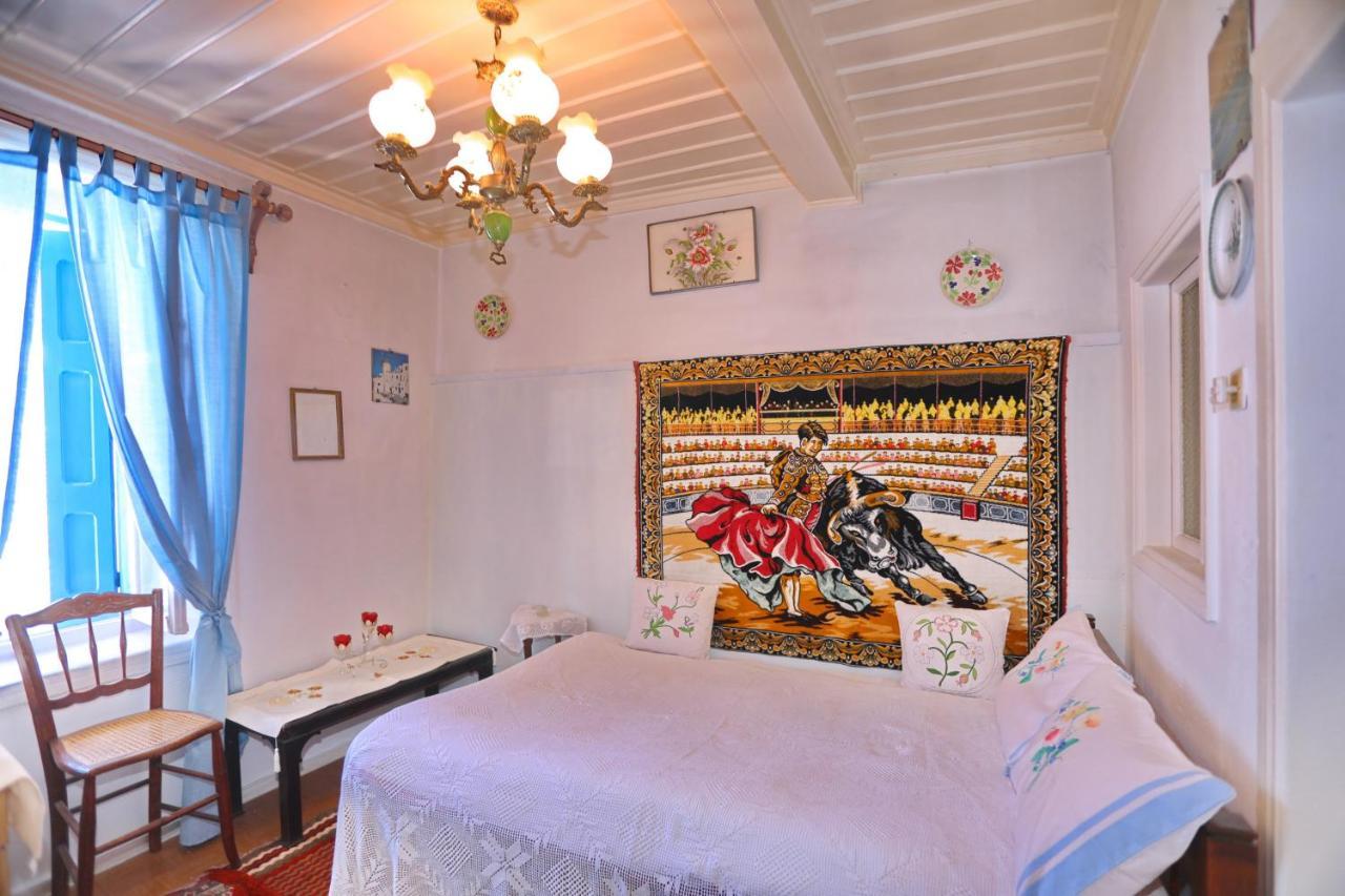 Skopelos House In Castle Panormos  المظهر الخارجي الصورة